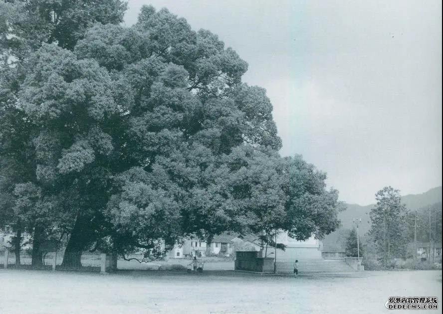 微信圖片_20211109100947.jpg 微信圖片_20211109100947.jpg